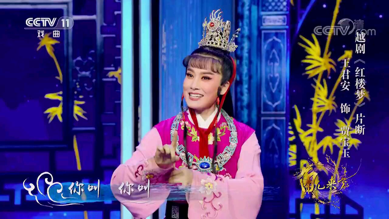 越剧《红楼梦·两小无猜》选段 王君安